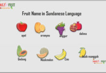 Fruit Name in Sundanese Language Fruit Name in Sundanese Language