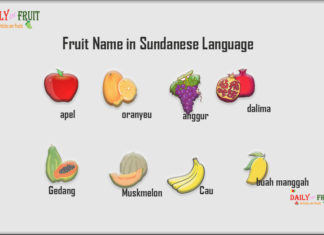Fruit Name in Sundanese Language Fruit Name in Sundanese Language