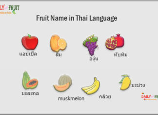 Fruit Name in Thai Language Fruit Name in Thai Language