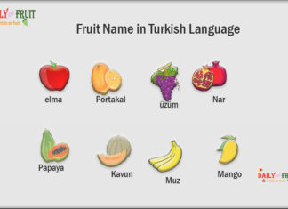Fruit Name in Turkish Language Fruit Name in Turkish Language