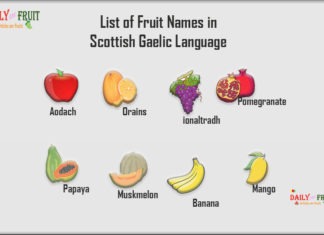 List of Fruit Names in Scottish Gaelic Language Fruit Names in Scottish Gaelic Language