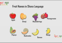 Fruit Names in Shona Language Fruit Names in Shona Language