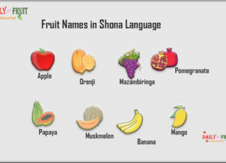 Fruit Names in Shona Language Fruit Names in Shona Language