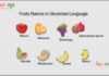 Fruits names in Ukrainian Language Fruits Names In Ukrainian Language