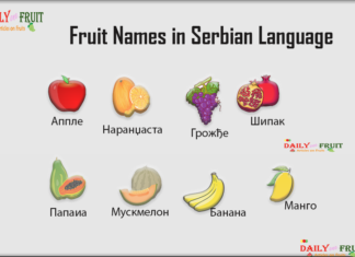 Fruits Names in Serbian Language Fruits name in Serbian