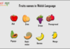Fruits names in Welsh Language Fruits name in welsh