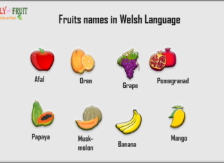 Fruits names in Welsh Language Fruits name in welsh