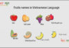 Fruits names in Vietnamese Language Fruits names in Vietnamese Language