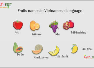 Fruits names in Vietnamese Language Fruits names in Vietnamese Language