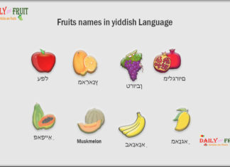 Fruits names in yiddish Language Fruits names in yiddish Language
