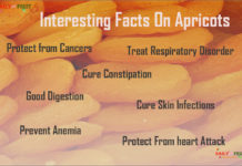 Nutrition chart for Apricot Interesting Facts On Apricots