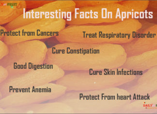 Nutrition chart for Apricot Interesting Facts On Apricots