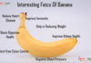 Nutrition chart for Banana Interesting Facts On Banana