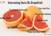 Nutrition chart for Grapefruit Interesting Facts On Grapefruit