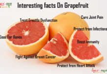 Nutrition chart for Grapefruit Interesting Facts On Grapefruit
