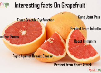 Nutrition chart for Grapefruit Interesting Facts On Grapefruit