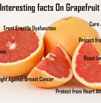 Nutrition chart for Grapefruit Interesting Facts On Grapefruit