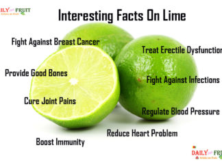 Nutrition chart for lime Interesting Facts On Lime