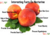 Nutrition chart for Nectarine Interesting Facts On Nectarine