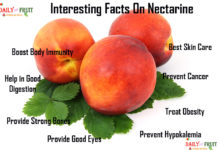 Nutrition chart for Nectarine Interesting Facts On Nectarine