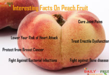 Interesting Facts on Peach Interesting Facts on Peach