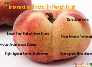 Interesting Facts on Peach Interesting Facts on Peach