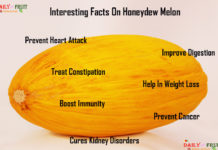 Nutrition chart for Honeydew Melon Interesting Facts on honey dew