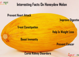Nutrition chart for Honeydew Melon Interesting Facts on honey dew