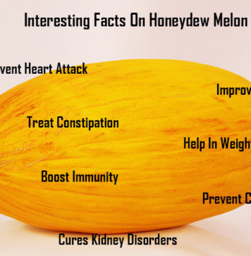 Nutrition chart for Honeydew Melon Interesting Facts on honey dew