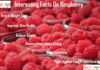 Nutrition chart for Raspberry Interesting fact on Rasberry