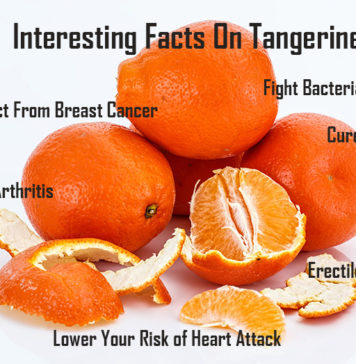 Nutrition chart for Tangerine Interesting fact on tangerine