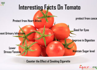 Interesting Facts On Tomato Interesting facts on Tomato