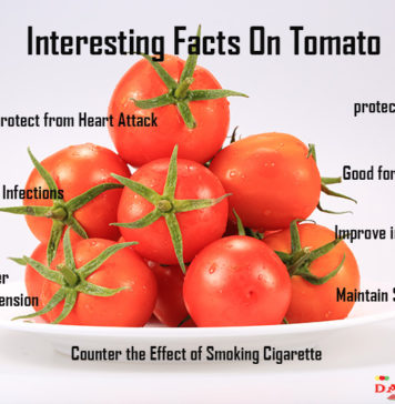 Interesting Facts On Tomato Interesting facts on Tomato