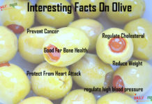 Nutrition chart for Olive Interesting facts on olive