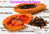 Nutrition chart for papaya Intersting facts on papaya