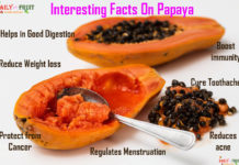 Nutrition chart for papaya Intersting facts on papaya