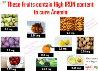 Top 15 Iron content Fruits to cure Anemia fruits with high iron