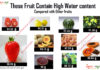 Top 17 Fruits with More Water Content fruits with high water content
