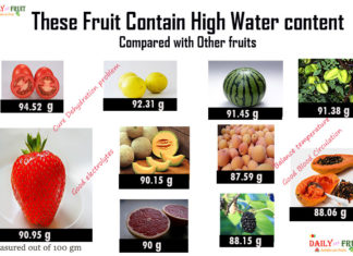 Top 17 Fruits with More Water Content fruits with high water content