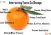 Nutrition chart for Orange interesting facts on orange