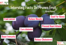 Nutrition chart for Prunes interesting facts on purnes