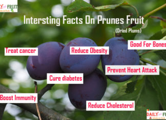 Nutrition chart for Prunes interesting facts on purnes