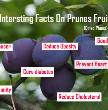 Nutrition chart for Prunes interesting facts on purnes