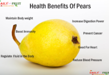 Nutrition chart for Pear pear nutrition chart