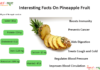 Nutrition chart for Pineapple pine apple nutrition facts