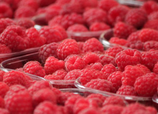 What is Berry and How Berry Fruits are Classification raspberry in cup