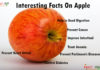How to say Apple in other Language Interesting Facts On Apple