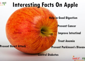 How to say Apple in other Language Interesting Facts On Apple