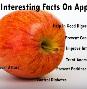 Nutrition chart for Apple Interesting Facts On Apple