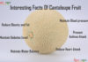 Nutrition chart for Cantaloupe Interesting Facts On Cantaloupe
